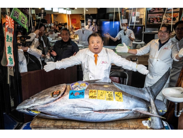Kiyoshi Kimura (C), president of Kiyomura Corp., the Tokyo-based operator of sushi restaurant chain Sushizanmai, displays a 243-kilogram bluefin tuna at his main restaurant in Tokyo on January 5, 2026, after the New Year's auction at Toyosu fish market. (Photo by Yuichi Yamazaki / AFP)
 