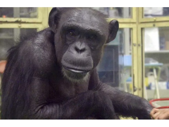 Image shared on social media