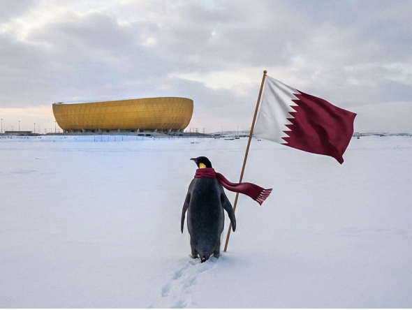 Photo shows a penguin in front of Lusail Stadium holding the Qatari flag, taken from a social media post by the Qatar Football Association.