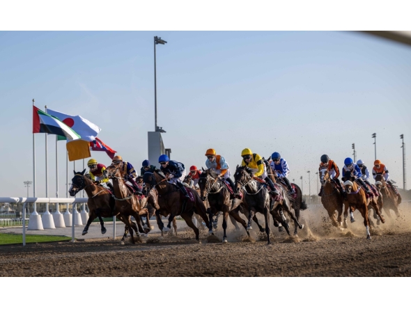 Action at Al Rayyan Racecourse yesterday.