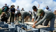 This handout picture released by Ecuador's Environment Ministry shows park rangers releasing Floreana giant tortoises (Chelonoidis niger) on Floreana Island, in the Galapagos archipelago, Ecuador, on February 20, 2026. (Photo by Handout / Ecuador's Ministry of Environment / AFP)