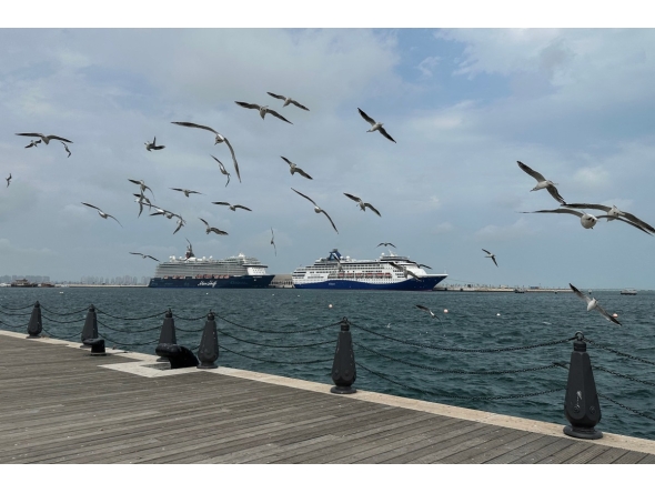 A photograph shows cruise ships moored in the old port of Doha on March 10, 2026. Photo by AFP
