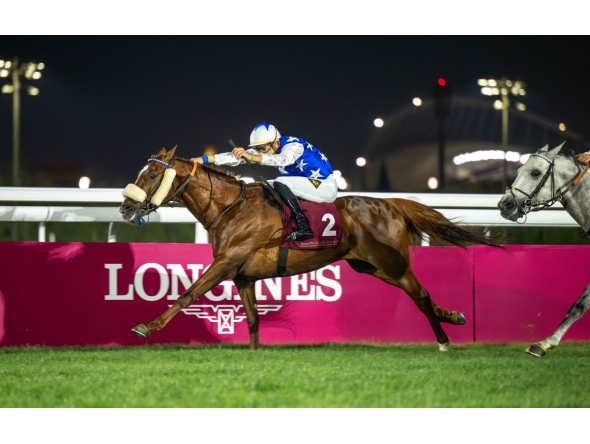 Lukas Delozier rides Nasser Al Shahania to Eraida Cup win. PIC: Juhaim/QREC 