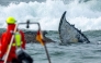 Members of the Institute of Terrestrial and Aquatic Wildlife Research (ITAW), monitor a stranded whale at the Timmendorfer Beach, northern Germany on March 23, 2026. (Photo by Jens Büttner / dpa / AFP) 