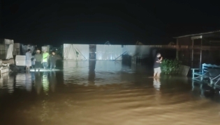 Photo: Qatar Animal Welfare Society (QAWS)