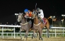 Marco Casamento  and Dubawi Spectre (left) on their way to win Al Jassasiya Cup ahead of Thor's Hammer, ridden by  Salem Alajmi. PIC: JUHAIM/QREC 