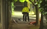 Police say the car travelled for more than 100 metres down a footpath that was lined with trees. (ABC News)