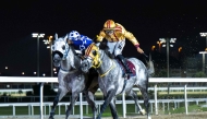 Naseeb Zakhir (left), ridden by Faleh Bughenaim, claimed a nose victory in the feature race yesterday. PIC: Juhaim/QREC