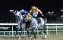 Naseeb Zakhir (left), ridden by Faleh Bughenaim, claimed a nose victory in the feature race yesterday. PIC: Juhaim/QREC