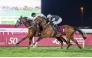Thor’s Hammer edges stablemate Aemilianus to win End of Season Cup at Al Rayyan Racecourse yesterday. PIC: Juhaim/QREC