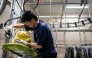 JAPAN-CULTURE-TOYS-INTERNET
In this picture taken on April 27, 2026, dry-cleaning professional Masakazu Shimura steam-cleans a soft toy at the facility of Cleaning Yonmarusan in Fuefuki city of Yamanashi Prefecture.  

(Photo by Philip FONG / AFP)
