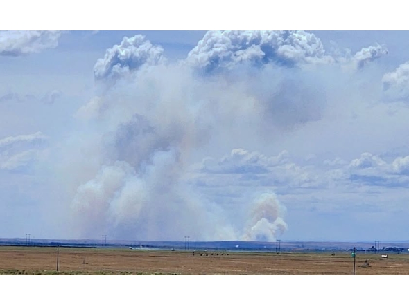 Aircraft collision over US air show downs two fighter jets. Photo by Shane Odigen