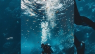 Representational Photo File
