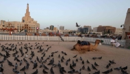 Pigeons stand in the manage allocated for camel rides as the guide waits for customers at Souq Waqif on the eve of the Muslim holiday of Eid al-Adha in Doha on May 26, 2026. Photo by Karim Jaafar / AFP
