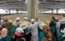 Muslims pilgrims perform the symbolic 