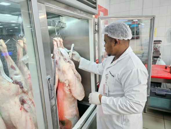 Municipality Ministry representative inspecting the sacrificial animal at slaughterhouse during Eid holiday