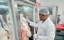 Municipality Ministry representative inspecting the sacrificial animal at slaughterhouse during Eid holiday