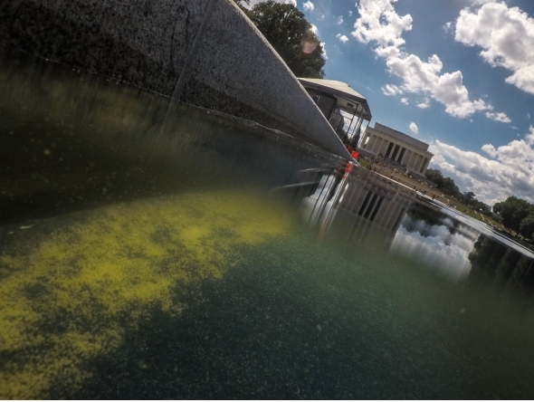 Seen through algae-laden green water, a tear in the recently applied sealant can be seen on the bottom of the Lincoln Memorial Reflecting Pool on June 18, 2026 in Washington, DC. (Photo by Oliver Contreras / AFP)