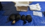 The turtles were tied in knotted socks when US officials found them (Photo from U.S. Fish and Wildlife Service)
