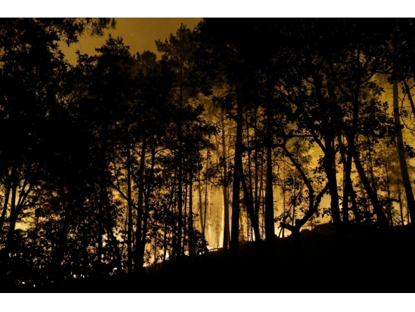 Flames rise in the Fontainebleau Forest after a forestfire broke out late afternoon on July 12, 2026. (Photo by GEOFFROY VAN DER HASSELT / AFP)