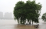 This photo taken on July 13, 2026 shows trees submerged in floodwaters by the Hunhe River in Shenyang, northeast China's Liaoning Province. Due to recent downpours, the water level at the Shenyang Hydrological Station on the Hunhe River reached 37.99 meters. (Xinhua/Li Gang)