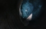 This frame grab from an AFP TV video shows a small female black bear being illuminated by a flashlight while caught in a bear trap in Ina, Nagano Prefecture, on July 14, 2026. (Photo by Harumi Ozawa / AFP)