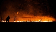 A firefighter sprays water on a burning forest close to a residential area during a wildfire near Lege-Cap-Ferret, southwestern France, on July 23, 2026. (Photo by Julien De Rosa / AFP)