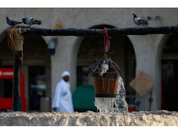 Pigeons cool off at a decorative water fountain in Doha on July 25, 2026. (Photo by KARIM JAAFAR / AFP)