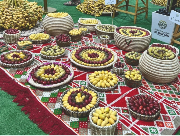 All Photos by Hana Ramadan / The Peninsula
