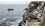 AI generated image for representational purposes only.