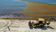 This aerial view shows a backhoe loader removing accumulated sargassum seaweed from the shoreline as a municipal worker walks along a beach in Playa del Carmen, Quintana Roo State, Mexico, on August 6, 2026. (Photo by Alfredo ESTRELLA / AFP)