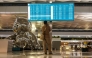 A stranded passenger looks at a flight information screen amid the closure of Soekarno-Hatta International Airport due to the eruption of the Mount Anak Krakatau volcano, in Tangerang on September 7, 2026. indonesia's main airport and several other air travel hubs reopened early on September 8 after days of closure due to ash from a volcanic eruption, the Transport Ministry said. (Photo by Taris HIRZIMAN / AFP)