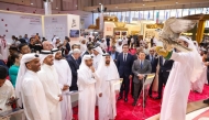 Falcons at the 10th Katara International Hunting and Falconry Exhibition (S’hail)