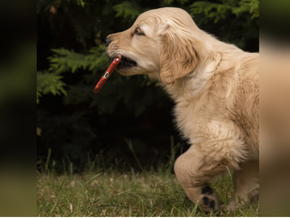 Representational image
