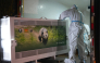 Staff members transfer giant panda Ping Ping at the Chengdu Research Base of Giant Panda Breeding in Chengdu, southwest China's Sichuan Province, Sept. 26, 2026. (Xinhua/Xu Bingjie)