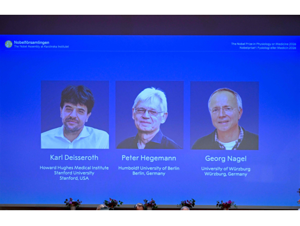 Screen displays portraits of (L-R) US scientist Karl Deisseroth and German scientists Peter Hegemann and Georg Nagel during the announcement of the winners of the 2026 Nobel Prize in Physiology or Medicine at the Karolinska Institute in Stockholm, Sweden, on October 5, 2026. Photo by Jonathan Nackstrand / AFP