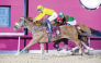 Nano Toro, ridden by Mohammed Hassan Al Abdulmalik, claimed the Al Ghariyah Cup win last season. 
