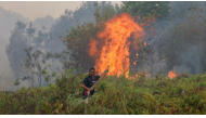 A firefighter extinguishing a fire at Sungai Tabuk village in Indonesia's Kalimantan Province on October 16 © MUDA SAGALA / AFP