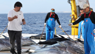An observer (L) of International Commission for the Conservation of Atlantic Tunas (ICCAT) measures Bluefin tuna on Ocean Star, an ultra-low temperature processing and transportation vessel of China on the Mediterranean sea east of Malta, Oct. 9, 2026. (Xinhua/Li Jing)