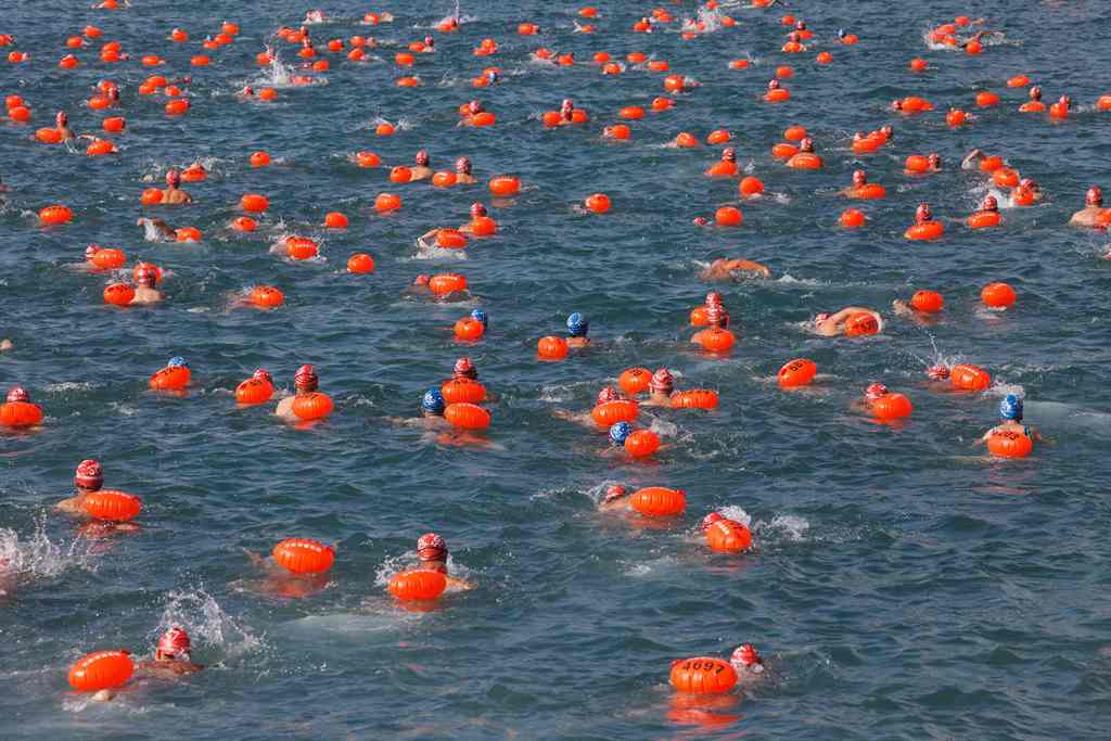 Competitors take part in the annual cross-harbour swim in Hong Kong on October 16, 2016. AFP / STR
