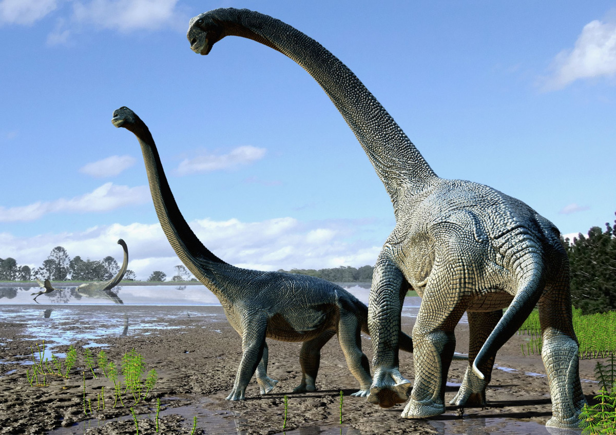 A handout photo released by Nature shows an artist's impression of life restoration of the Savannasaurus elliottorum based on the type specimen and comparisons with titanosaurs from around the world. Scientists unveiled on October 20, 2016 fossils from a 