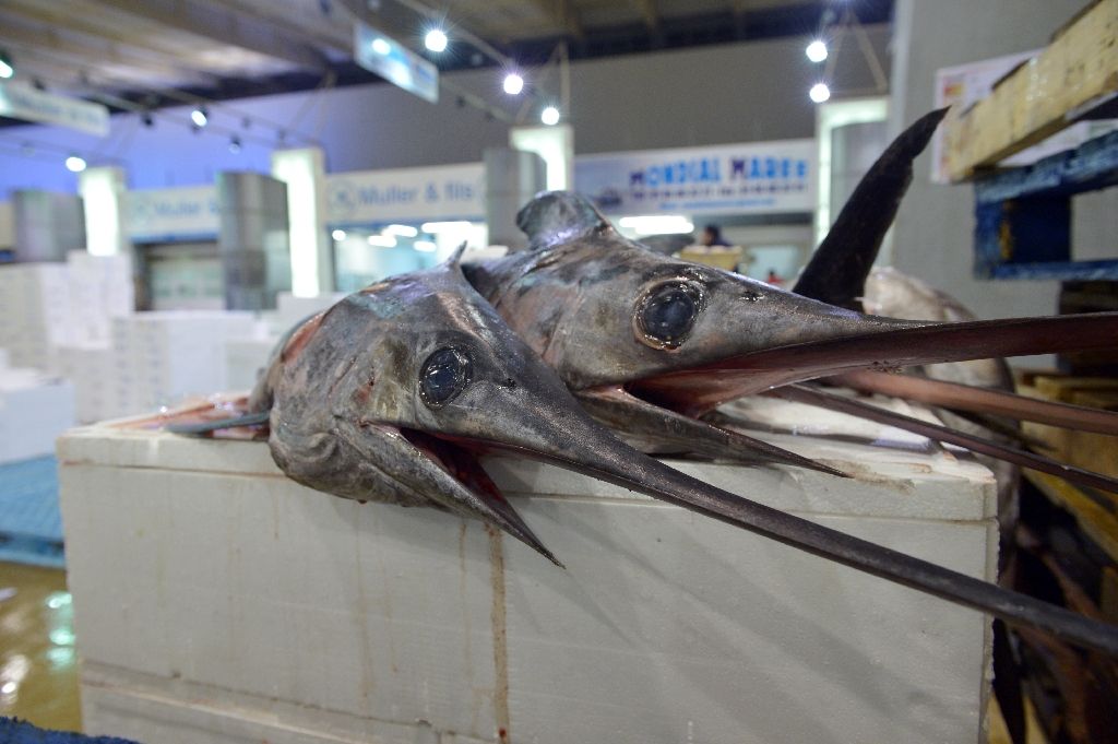 The swordfish species as a whole is not threatened but its Mediterranean sub-group is overfished having fallen an estimated two-thirds from 1985 (AFP Photo/Eric Piermont)