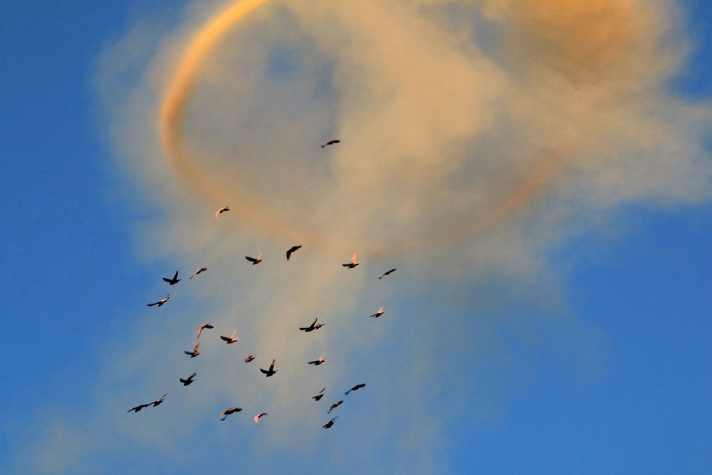 Birds fly near rising smoke and a smoke ring after a strike on the rebel-held besieged al-Shaar neighbourhood of Aleppo, Syria November 26, 2016. REUTERS/Abdalrhman Ismail
