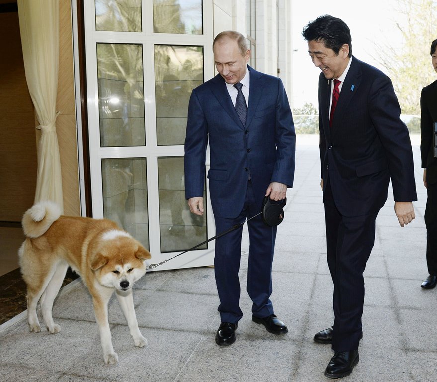 Russian President Vladimir Putin and his dog named Yume, which was presented to Putin by Japan's northern Akita Prefecture in July 2012, welcome Japanese Prime Minister Shinzo Abe upon Abe's arrival for their meeting in Sochi, Russia, in this photo taken 
