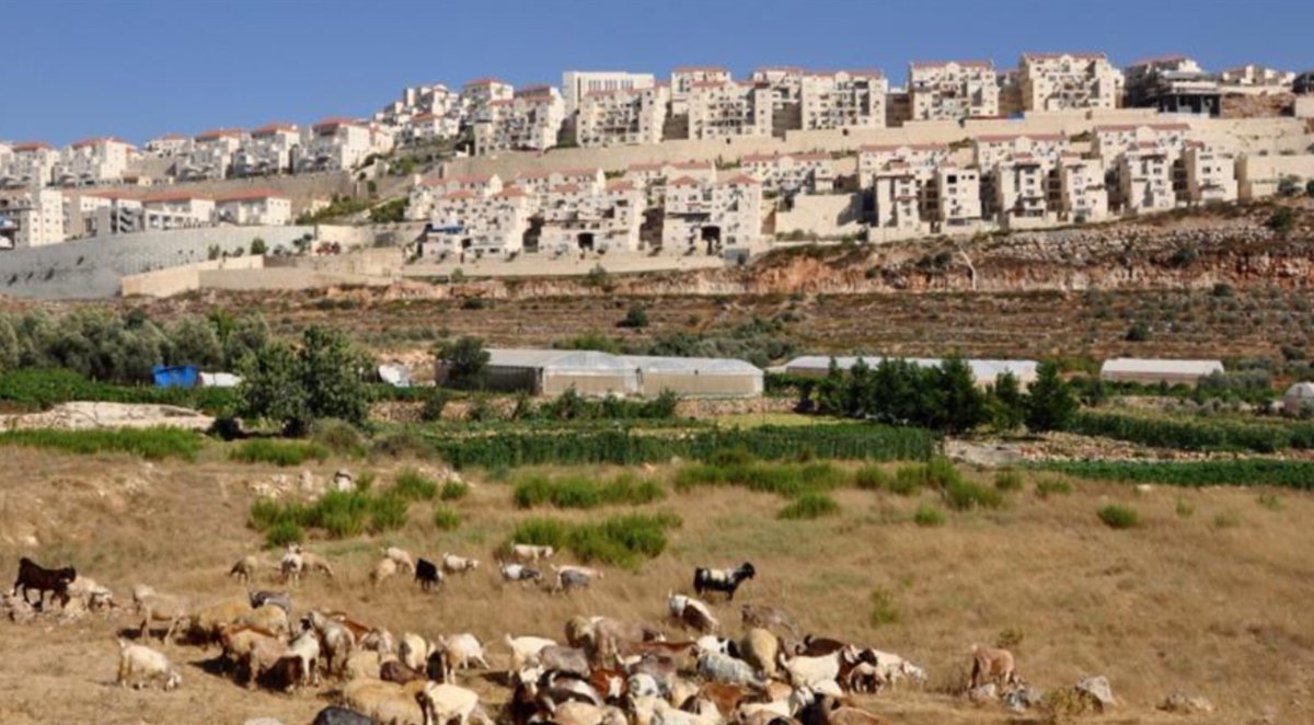 At least 570,000 Israelis were living in the settlements, according to a report released in October [Emily Mulder/Al Jazeera]
