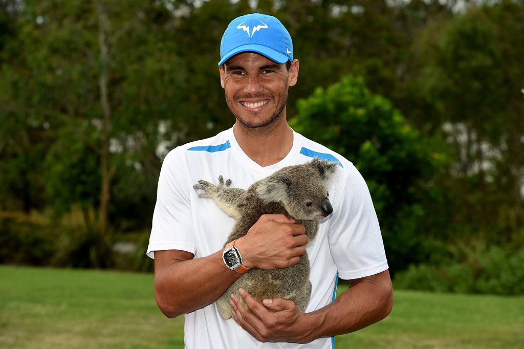 Rafael Nadal of Spain poses with a koala as he arrives to take part in the Brisbane International tennis tournament in Brisbane on January 2, 2017. AFP / SAEED KHAN 
