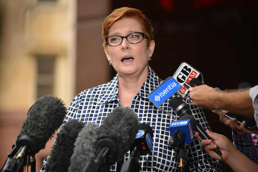 Australia's Defence Minister Marise Payne speaks to the media in Sydney on January 5, 2017. AFP / Peter PARKS
