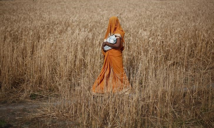 REPRESENTATIVE IMAGE: A woman carries her baby as she walks through a wheat field in Amroha district in Uttar Pradesh, April 17, 2014 (REUTERS / Adnan Abidi) 