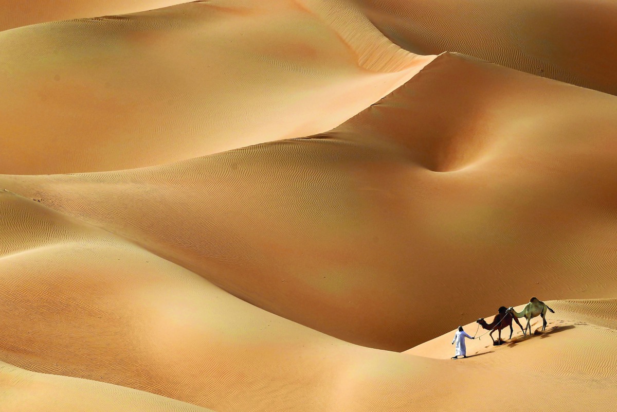 An Emirati man walks with his camels across the Hameem desert, some 170 kilometres west of the Gulf Emirate of Abu Dhabi, on February 24, 2017. / AFP / KARIM SAHIB