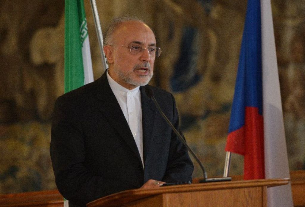 Ali Akbar Salehi, head of Iran's Atomic Energy Organisation, said Tehran wants to buy 950 tonnes of uranium concentrate from Kazakhstan 